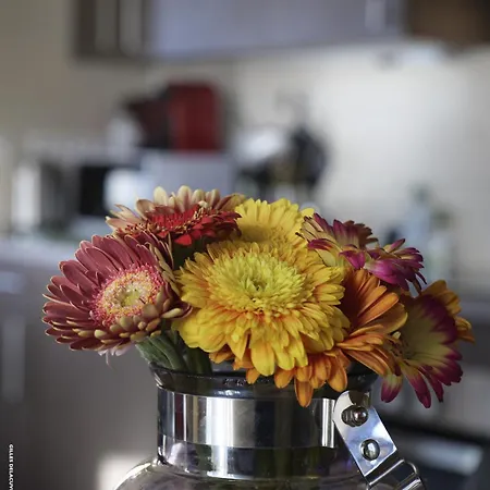 Le Petit Marche, Centre Ville, Lr128 Lejlighed La Rochelle (Charente-Maritime)